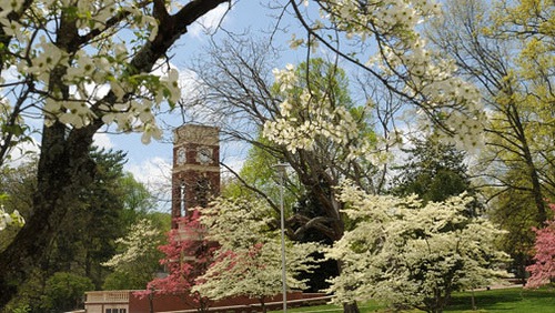 spring at etsu