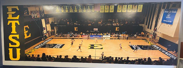 Women's Basketball Wall Wrap