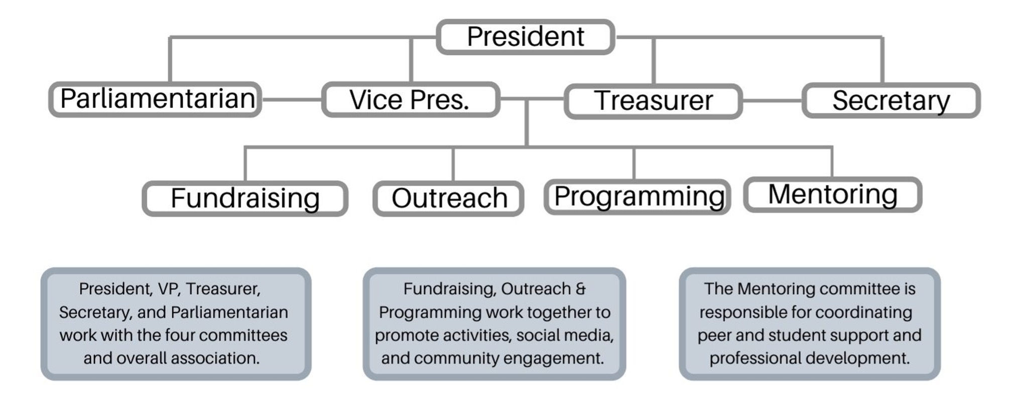 org chart