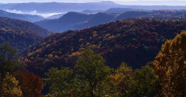 image for Center for Appalachian Studies and Services