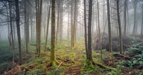 image for Contact the Program Advisor