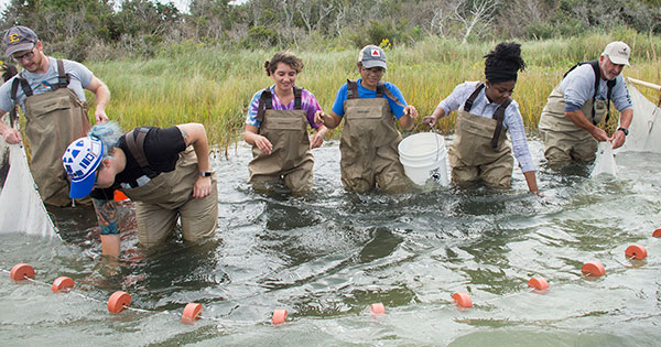 image for Biological Sciences