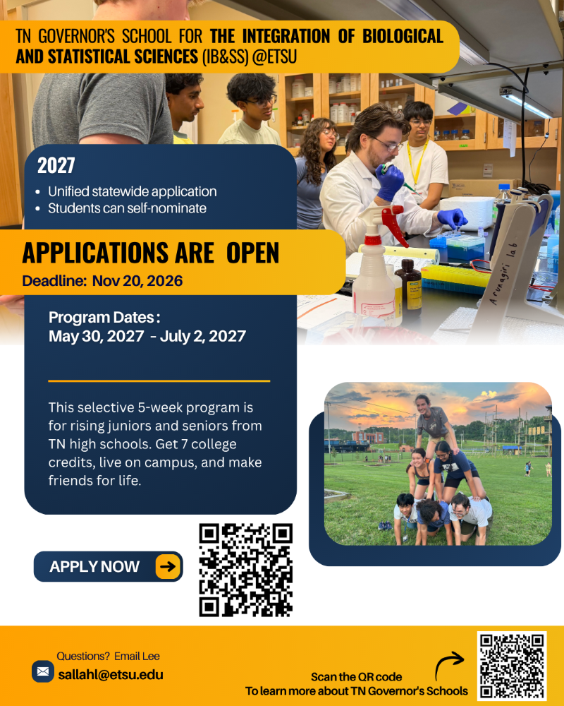 GS 2027 IBSS flyer