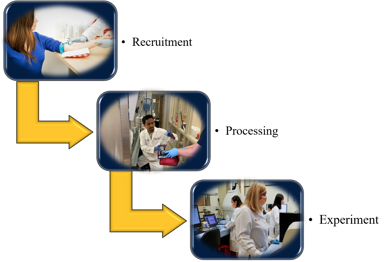 sample process