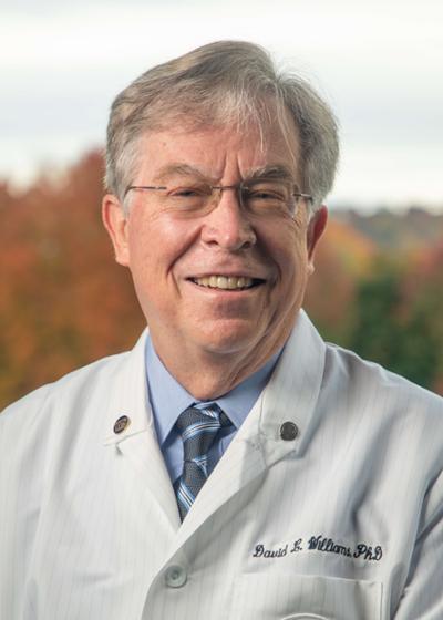 Photo of David L. Williams, PhD Co-Director