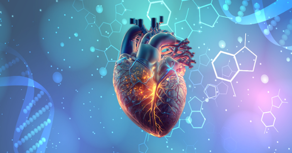 Photo for 
Cardiovascular
