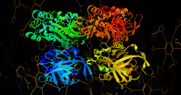 Proteomics