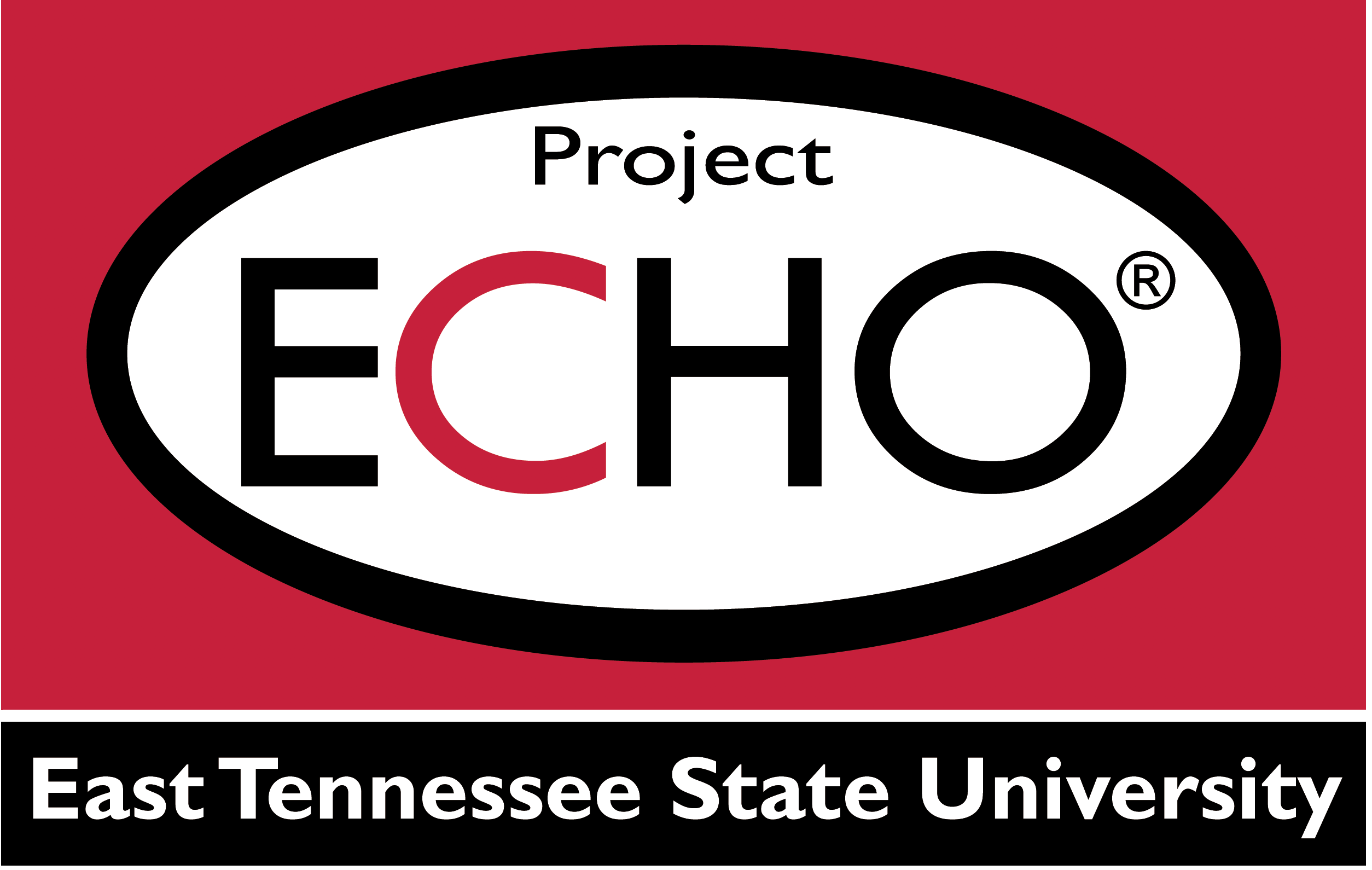 Project Echo Logo