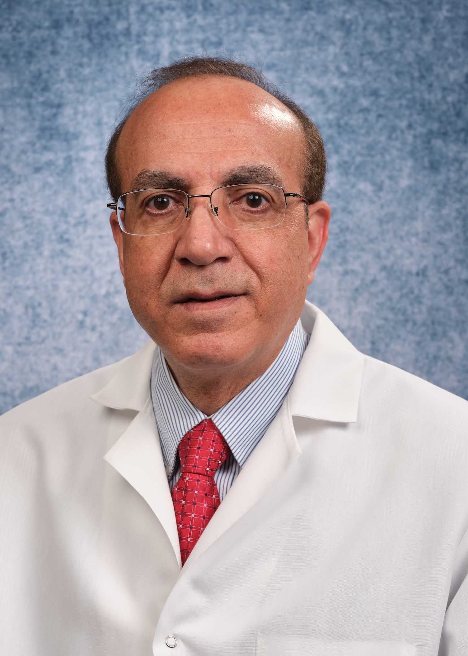 Photo of Mohamed Elgazzar, PhD