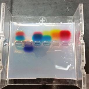 Photo for Gel Electrophoresis