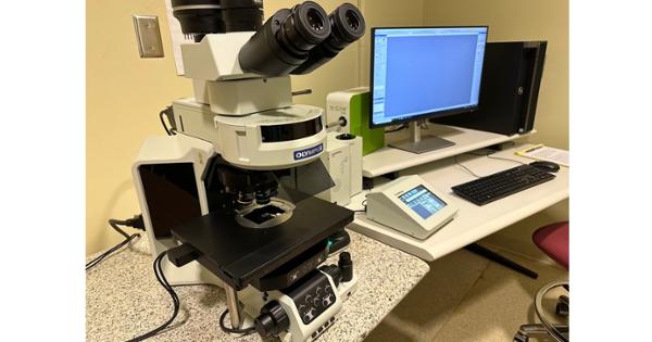 Olympus BX63 Brightfield and Fluorescence Microscope