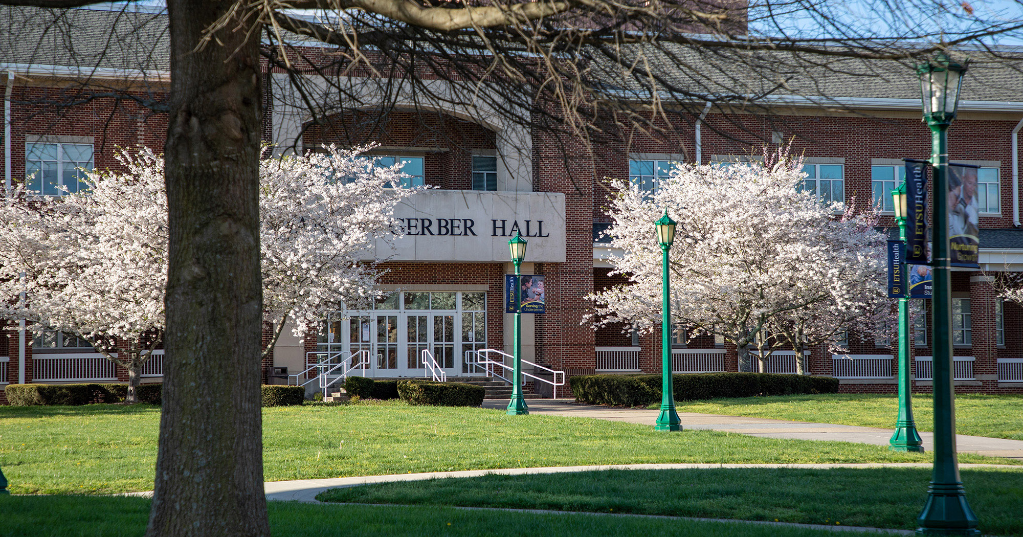 Campus in Spring