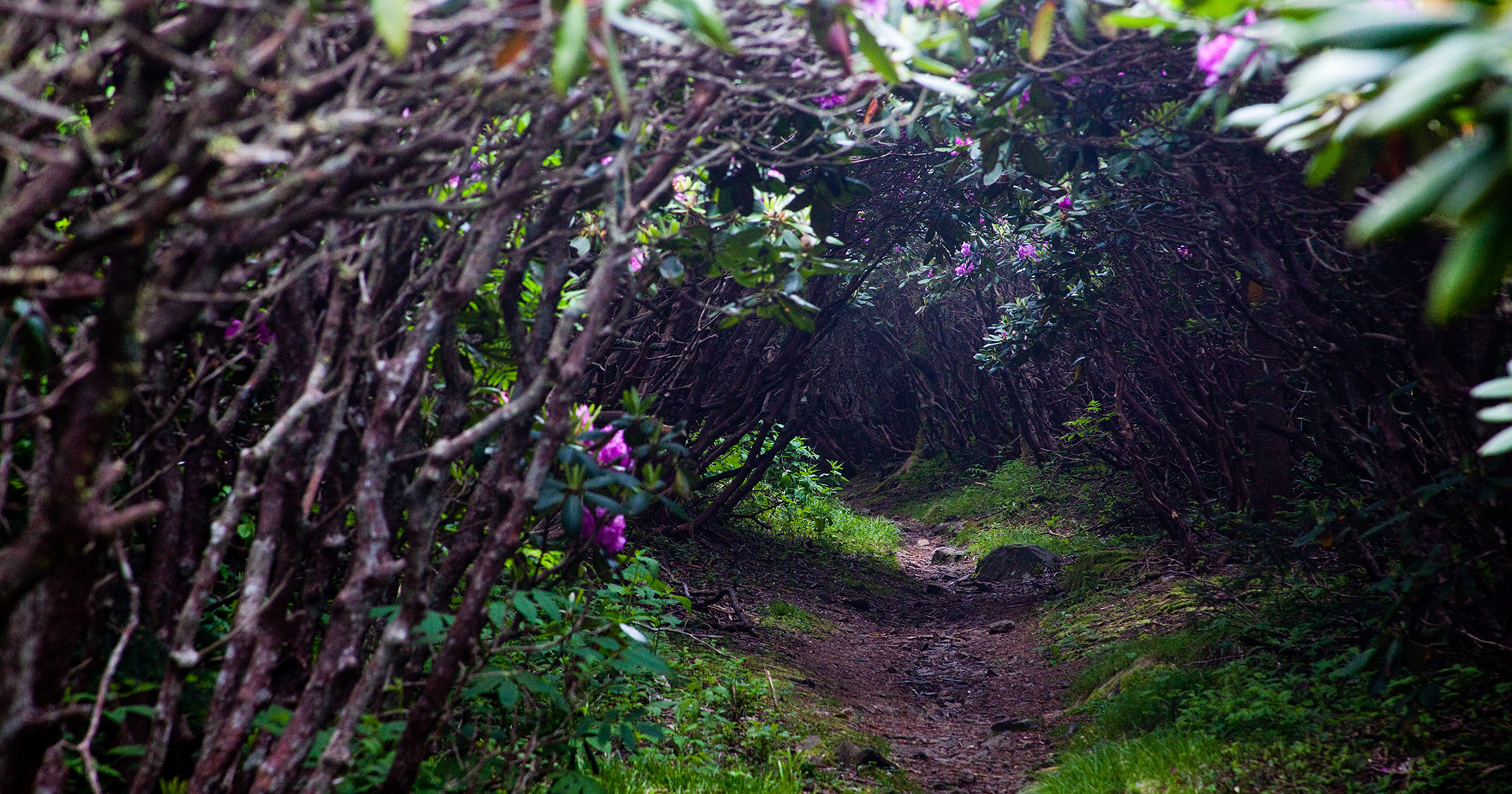 End of Mountain Tunnel