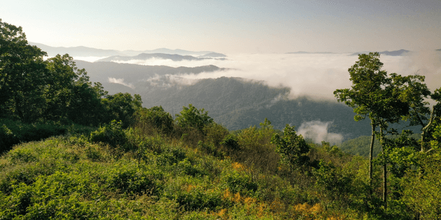 mountains