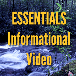 ESSENTIALS Video