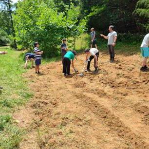 planting