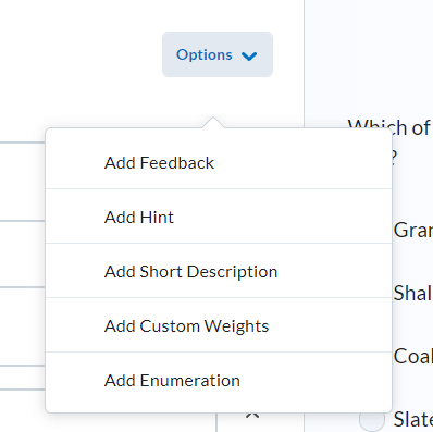 image of additional question options (add feedback, add hint, add short description, add custom weightsand add enumeration)