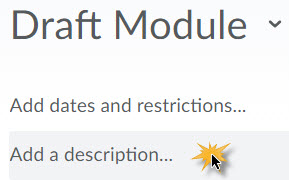 Image of an open module with the Add a description ... option selected