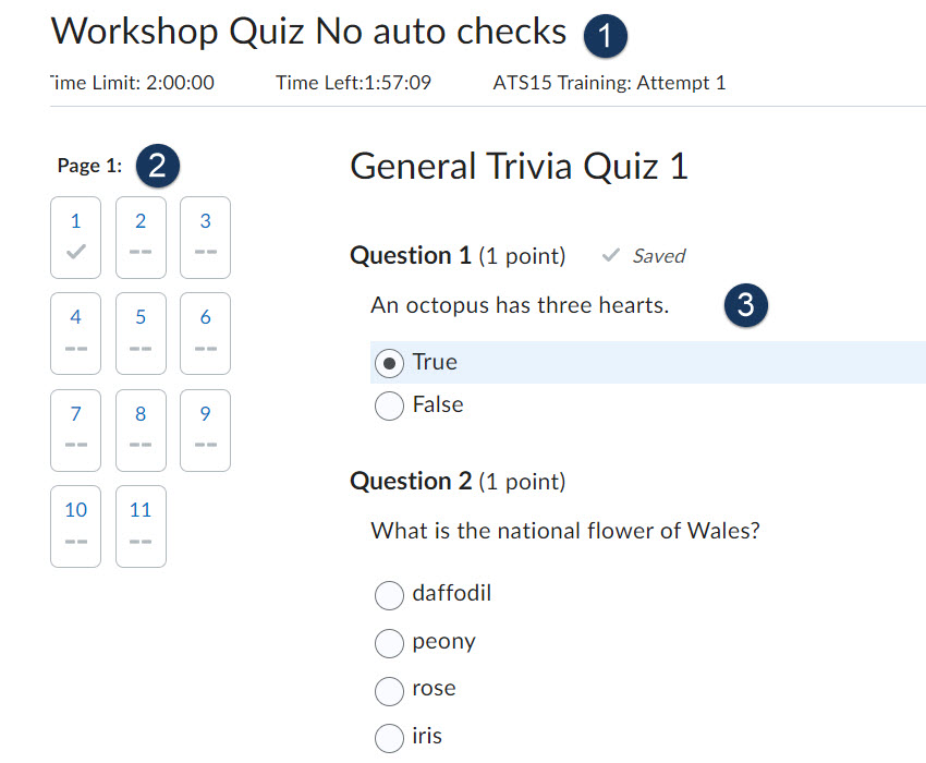 quiz layout