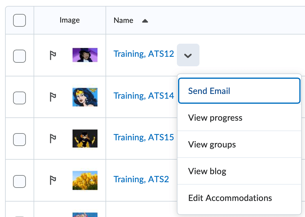 image of the context menu of a student in the course