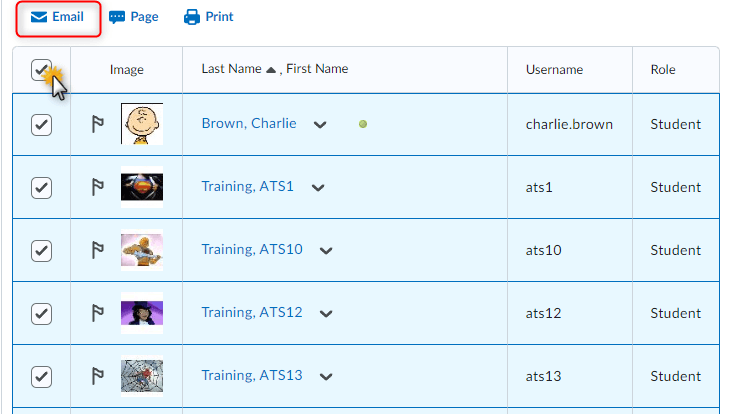image of the classlist page with all users selected to email