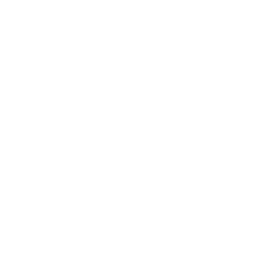 iracing team