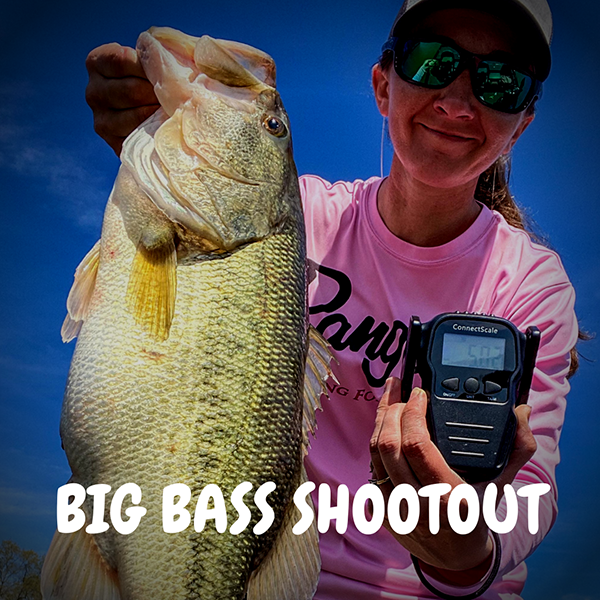 Bass Shootout