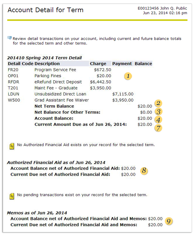 Account Details for Term