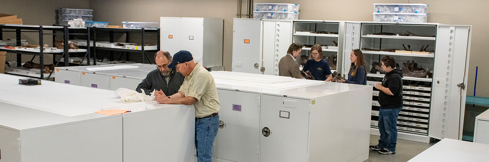 Gray Fossil Site paleontology collections