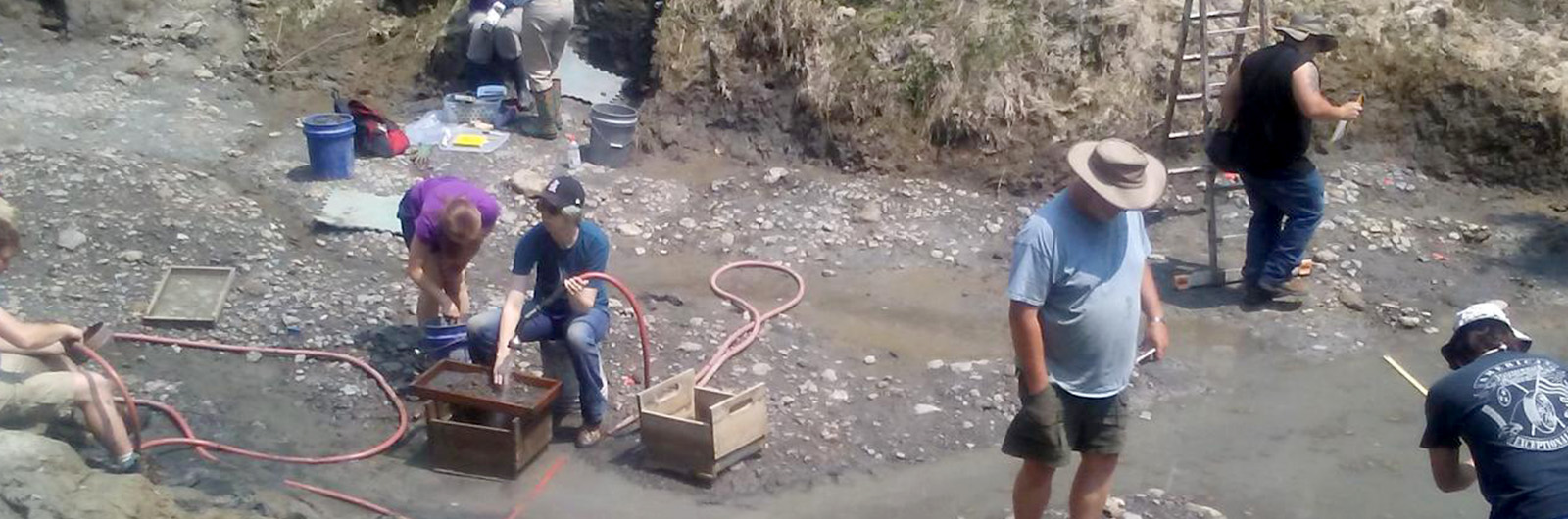 excavation at Saltville