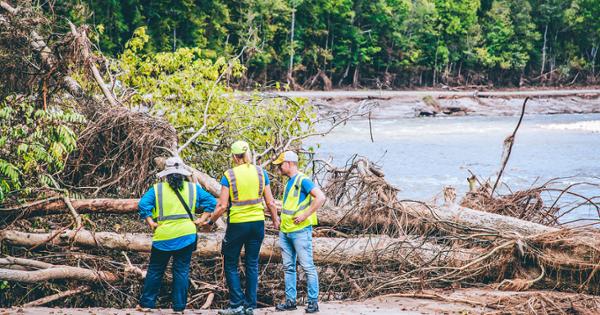 A group of ETSU faculty and staff in yellow safety jackets assessing downed trees as a result of damage from Hurricane Helene