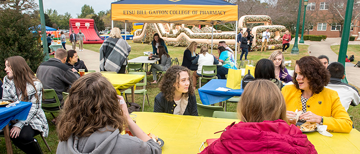 Student pharmacists talking with the Dean at a picnic