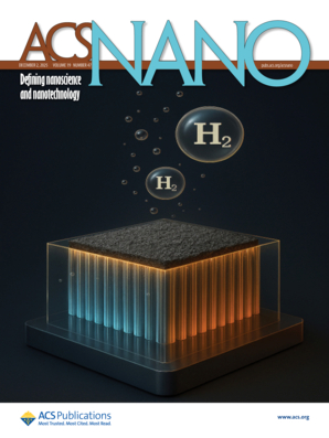 Picture of journal cover: Header, "ACS NANO"; Subheader, "Defining nanoscience and nanotechnology"; image depicts a device releasing hydrogen gas.