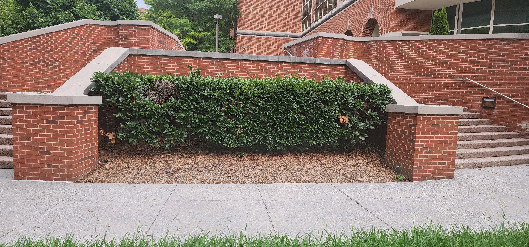 New location of statue in Brochuck Plaza to the left of library entrance