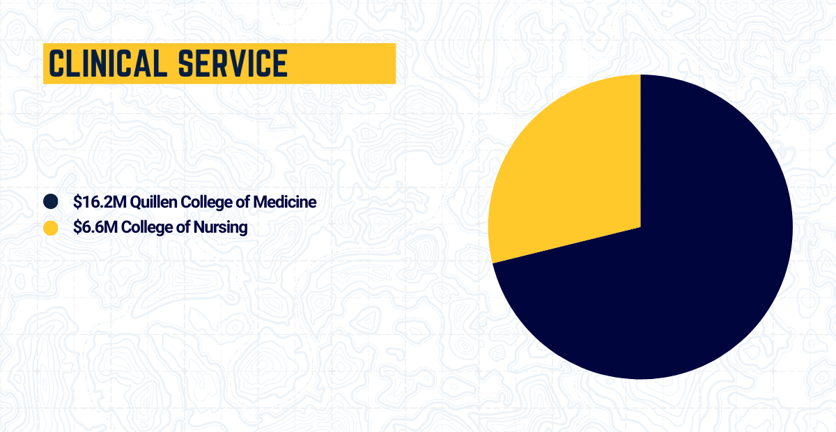 Awards by PI CollegeUnit_ClinicalService