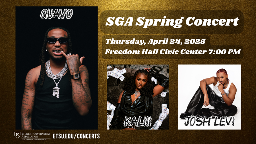 Quavo Concert