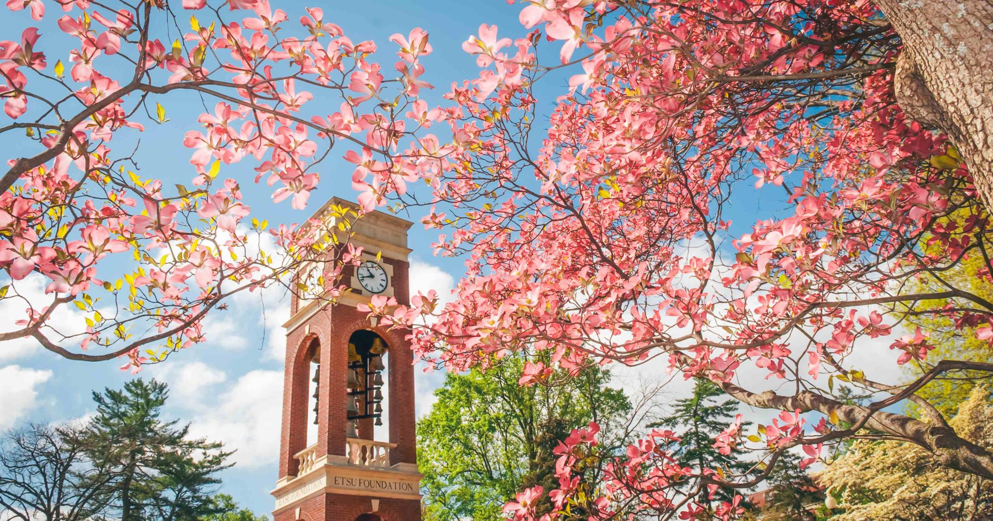 ETSU's main campus in the spring.