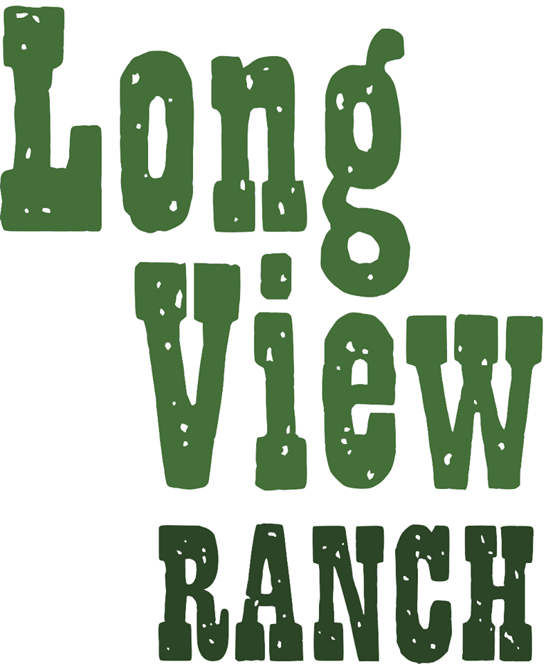 LVR Logo